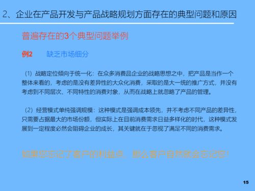 PPT新產(chǎn)品開發(fā)及產(chǎn)品戰(zhàn)略規(guī)劃 軟件開發(fā)與技術(shù)推廣