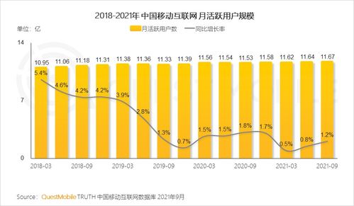 移動(dòng)互聯(lián)網(wǎng)研發(fā)與維護(hù) 中國市場(chǎng)的實(shí)踐啟示